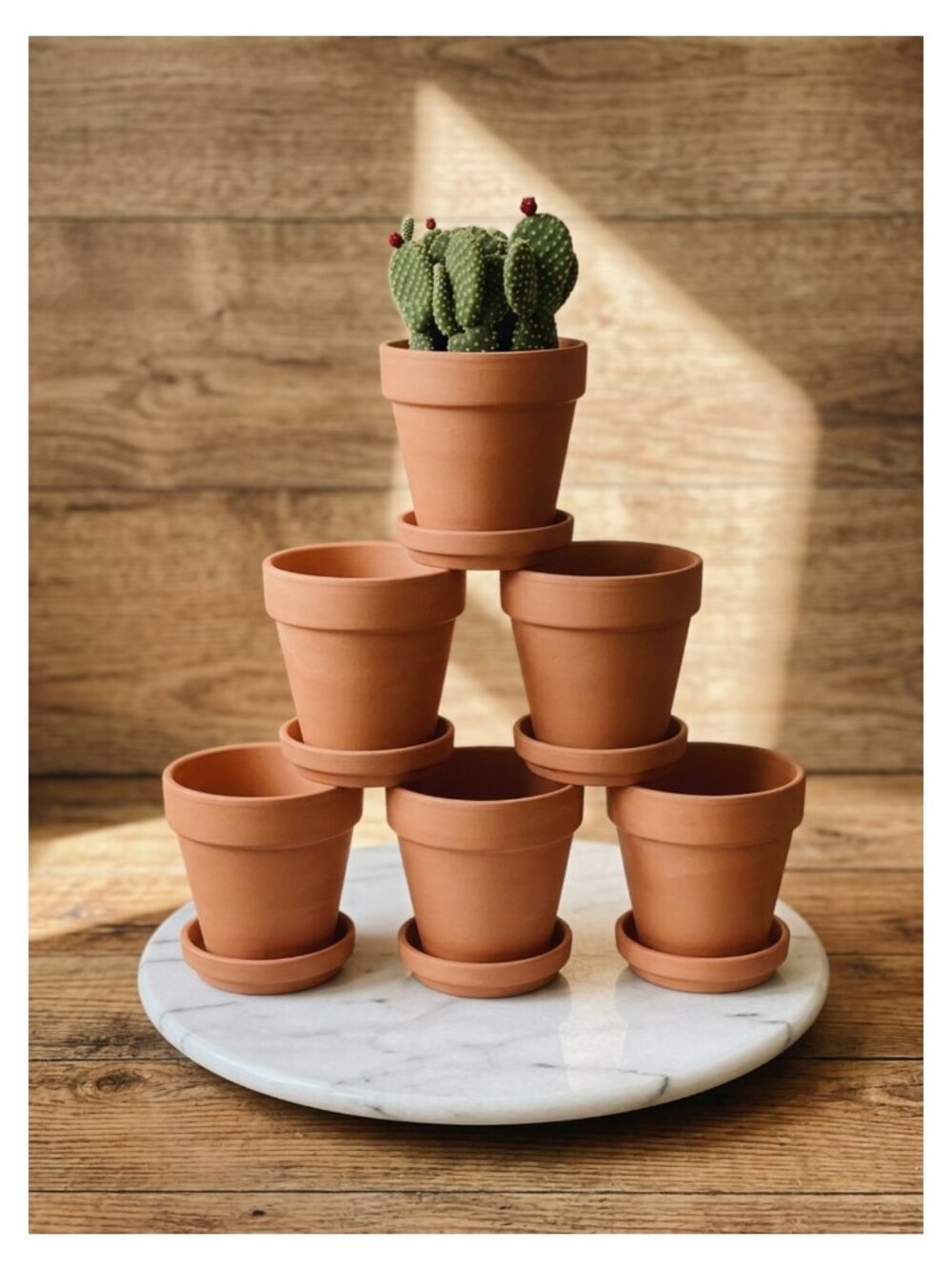 Terracotta Pots with Saucer 6 Pack 4 Inch Clay Plant Pots Drainage Holes